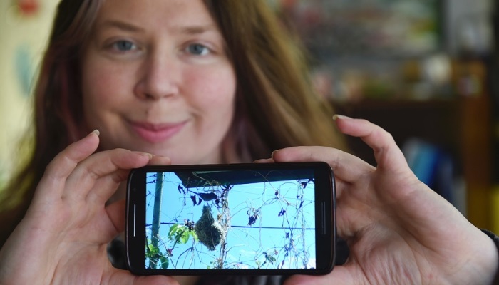 Showing the Facebook live feed of the bushtits nesting on her Mount Pleasant balcony, artist Jennifer Chernecki says bird-watching is social and 'geeky in a grown-up intellectual kind of way.' - Photo Dan Toulgoet